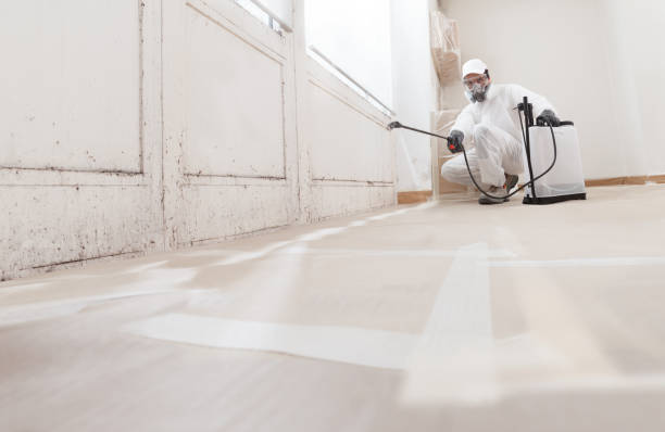 24/7 Emergency Mold Cleanup experts in Mundelein, IL