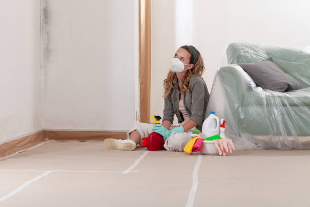 Reliable Mold Cleanup contractor in Mundelein, IL by WQB Mold Removal